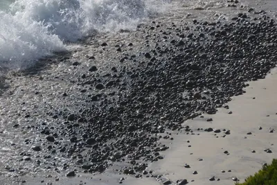 DSC_6987 (Large).JPG